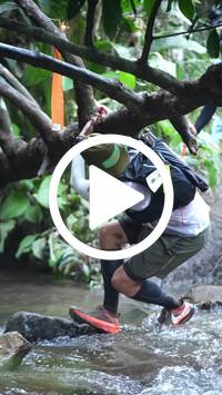 BIB:  <button type="button" onclick="openModal(27824744)" class="btn btn-primary btn-sm float-right" data-toggle="modal" data-target=".modal-high-quality">
                <i class="fa fa-download"></i> Download
                </button>